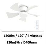 ventilateur-plafond-pas-cher