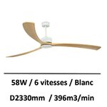 ventilateur-plafond-grande-surface