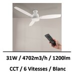 ventilateur-plafond