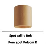 beneito-faure-pulcom
