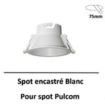 pulcom-beneito-faure