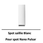 nano-pulsar