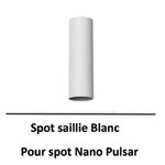 beneito-faure-nano