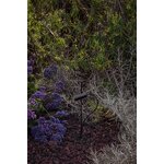 75708-233_L1