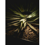 arkoslight-showroom_xpan-022-lw