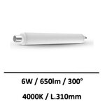 ampoule-S19