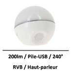 ampoule-haut-parleur