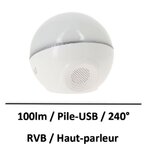 ampoule-haut-parleur