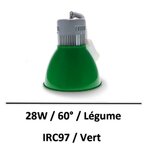 cloche-decorative