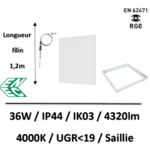 DALLE-LED6SAILLIE