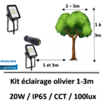 eclairageolivier-philips