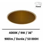 spot-led-doree-bobo-9W-lited
