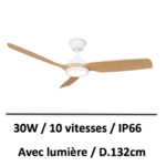 ventilateur-de-plafond-IP66