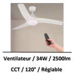 ventilateur-plafond