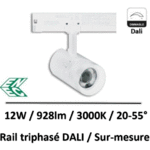 SPOT-rail-dali