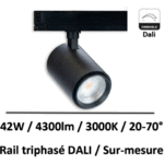 spot-focalisable-dali