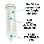 ampoule-led-r7s-13w-118mm-1521-lm-env-130w (1)