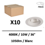 lot-pros-lited