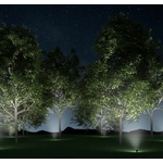 eur-erco-illuminating-trees-correctly-intro-11-15