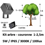 eclairage arbre