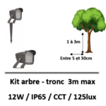 eclairage-tronc-d-arbre