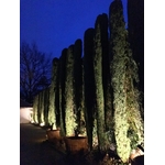 LAC-DE-GENEVE-LUMIERE-ECLAIRAGE-EXTERIEUR-LED-INDIRECT-CYPRES-768x1024