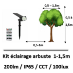 eclairage-arbuste