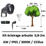 eclairage-arbuste