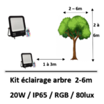 eclairage-arbre