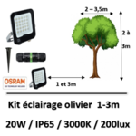 eclairage-olivier