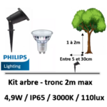 eclairage-tronc-arbre