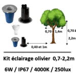 eclairage-olivier