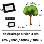 projecteur-pour-olivier
