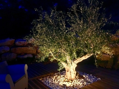 JARDIN-MIS-EN-LUMIERE-GRAMBOIS-VAUCLUSE-AVIGNON-AIX-EN-PROVENCE-LIGHT-DESIGN-OUTDOOR-OLIVIER-CHENES-VERTS-ECLAIRAGE-EXTERIEUR-2019-1-1024x768