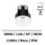 spot-lited-lucas