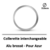 collerette-azue-CCT