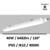 speedy-lebenoid