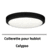 collerette-calypso