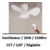 ventilateur-plafond-ledme