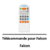 telecommande-falcon