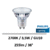 75253100