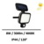 projecteur-exterieur-solaire-detecteur