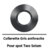 Capture d’écran 2026-01-05 113844