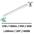 coreline-philips