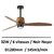 ventilateur-plafond-design