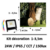 eclairage-decoration-jardin