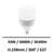 ampoule-led-33W-6000K