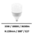 ampoule-led-33W