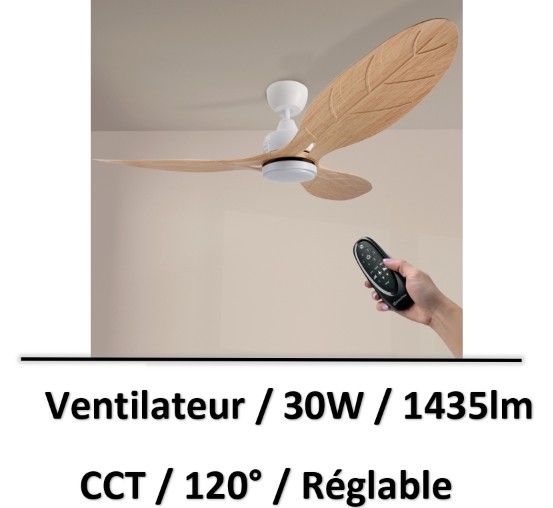 ventilateur-plafond-design