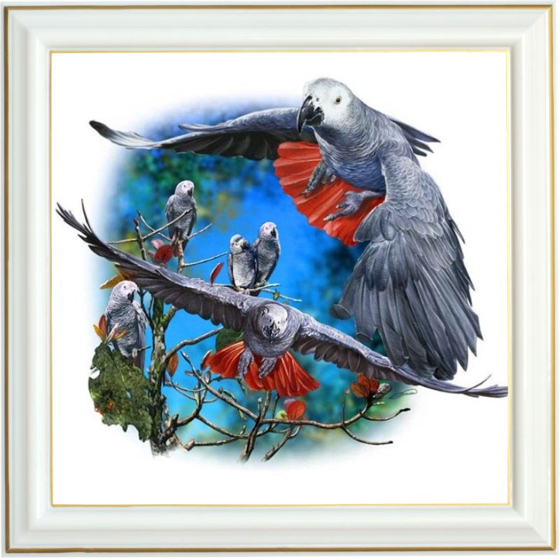 Broderie diamant - Les perroquets gris - 40 x 40 cm